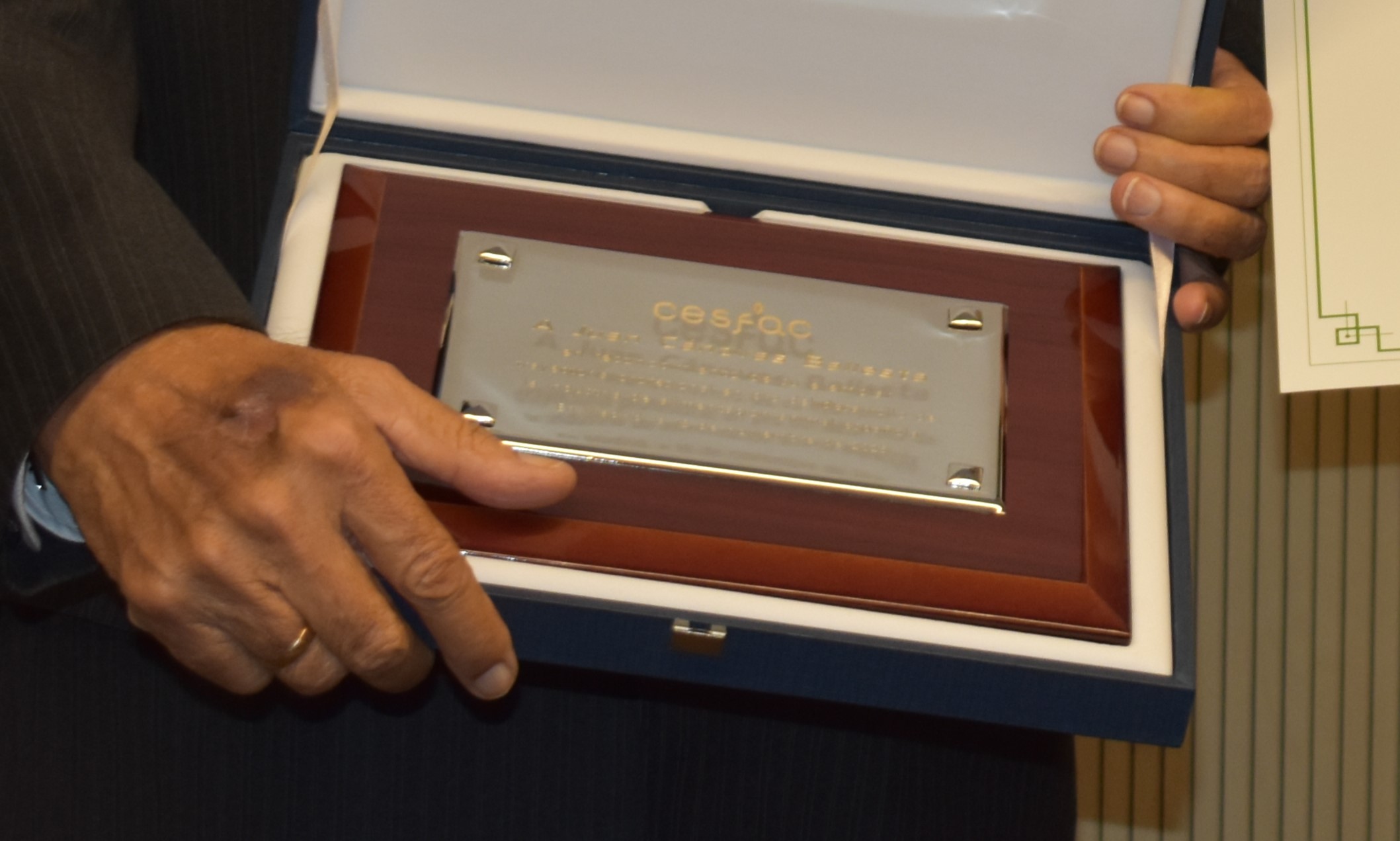 Actualizado el protocolo de méritos y honores de CESFAC